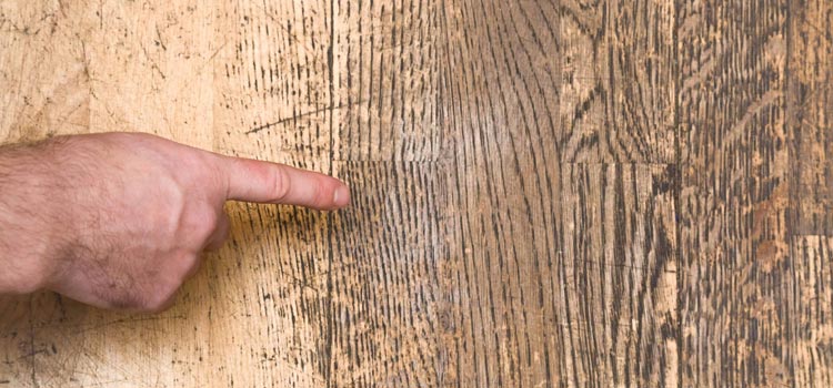 Wood Door Scratch Repair in Bay Point